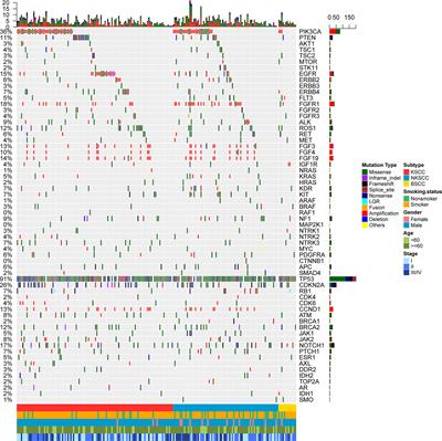 Comprehensive Molecular Characterizations of Chinese Patients With Different Subtypes of Lung Squamous Cell Carcinoma
